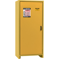 Armoire d'entreposage 30 minutes s&eacute;curitaire et conforme &agrave; la norme EN, 30 gal., 1 Porte(s), 34,02" La x 76,65" h x 24,21" p Oxford Builders Supplies Inc
