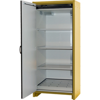 Armoire d'entreposage 30 minutes s&eacute;curitaire et conforme &agrave; la norme EN, 30 gal., 1 Porte(s), 34,02" La x 76,65" h x 24,21" p Oxford Builders Supplies Inc