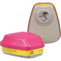 6000 Series Respirator Cartridges, Gas/Vapour Cartridge, Organic Vapour/Acid Gas/P100 Oxford Builders Supplies Inc