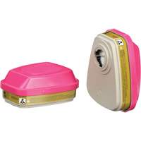 Cartouches pour respirateur s&eacute;rie 6000, Cartouche gaz/vapeur, Gaz multiples/Vapeurs/P100 Oxford Builders Supplies Inc