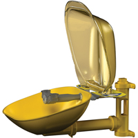 Halo Eyewash Stations, Wall-Mount Installation, Plastic Bowl Oxford Builders Supplies Inc