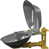 Halo Eyewash Stations, Wall-Mount Installation, Stainless Steel Bowl Oxford Builders Supplies Inc