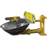 Halo Face/Eyewash Stations, Wall-Mount Installation, Stainless Steel Bowl Oxford Builders Supplies Inc