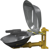 Halo Face/Eyewash Stations, Wall-Mount Installation, Stainless Steel Bowl Oxford Builders Supplies Inc