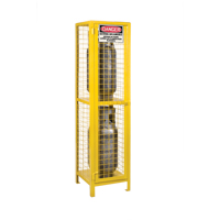 Gas Cylinder Cabinets, 2 Cylinder Capacity, 17" W x 17" D x 69" H, Yellow Oxford Builders Supplies Inc