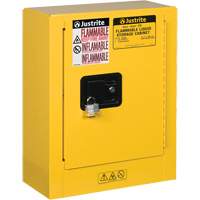 Mini-armoires de s&eacute;curit&eacute; Sure-Grip EX pour produits inflammables, 2 gal., 1 Porte(s), 17" La x 22" h x 8" p Oxford Builders Supplies Inc