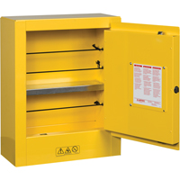 Mini-armoires de s&eacute;curit&eacute; Sure-Grip EX pour produits inflammables, 2 gal., 1 Porte(s), 17" La x 22" h x 8" p Oxford Builders Supplies Inc