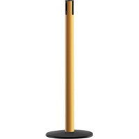 Advance TensaBarrier&reg; - Receiver Post, 36" High, Yellow Oxford Builders Supplies Inc