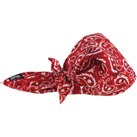 Bandeaux en triangle 6710CT de refroidissement en tissu de serviette Chill-Its, Rouge Oxford Builders Supplies Inc