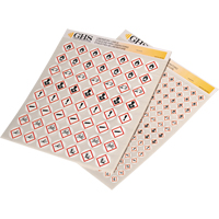 GHS Hazard Pictogram Label Variety Packs, Vinyl, Sheet, 1" L x 1" W Oxford Builders Supplies Inc