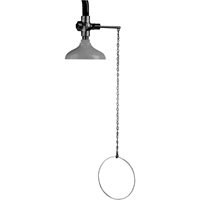 Lifesaver&reg; Emergency Overhead Showers, Ceiling-Mount Oxford Builders Supplies Inc