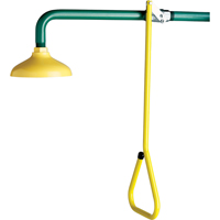 Lifesaver&reg; Emergency Overhead Showers, Wall-Mount Oxford Builders Supplies Inc
