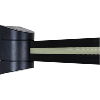 TensaBarrier&reg; Wall Mounted Units, Plastic, Screw Mount, 15', Black Tape Oxford Builders Supplies Inc