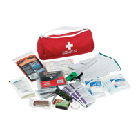 Dynamic Car First Aid Kit, Class 1 Medical Device, Nylon Bag Oxford Builders Supplies Inc