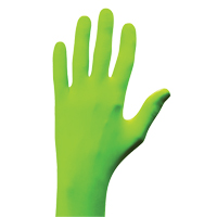 N-Dex&reg; Gloves, Small, Nitrile, 5-mil, Powder-Free, Green Oxford Builders Supplies Inc