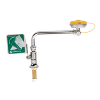 Eye/Face Wash Station, Sink Mount Installation Oxford Builders Supplies Inc