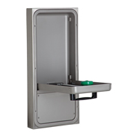 Eye/Face Wash Station, Wall-Mount Installation Oxford Builders Supplies Inc