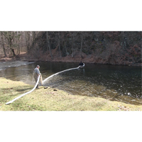 SpillBoa Bale, Oil Only, 25' L x 5" W, 28 gal. Absorbancy, 4 /Pack Oxford Builders Supplies Inc