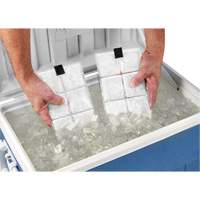 Sachets pour veste de refroidissement &agrave; changement de phase 6260 Chill-Its Oxford Builders Supplies Inc