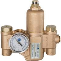 Robinet mitigeur thermostatique pour luminaires durgence Navigator EFX20, 30 gal./min Oxford Builders Supplies Inc