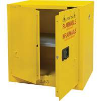 Armoire pour produits inflammables, 22 gal., 2 Porte(s), 35" La x 35" h x 22" p Oxford Builders Supplies Inc