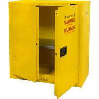 Flammable Storage Cabinet, 30 gal., 2 Door, 43" W x 44" H x 18" D Oxford Builders Supplies Inc