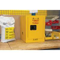 Armoire pour produits inflammables, 4 gal., 1 Porte(s), 17" La x 22" h x 18" p Oxford Builders Supplies Inc