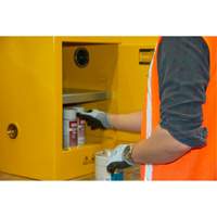 Armoire pour produits inflammables, 4 gal., 1 Porte(s), 17" La x 22" h x 18" p Oxford Builders Supplies Inc
