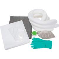 Trousse d'&eacute;quipement de lutte contre les d&eacute;versements, Huile seulement/Universel, Sac, Absorbance de 10 gal. US Oxford Builders Supplies Inc