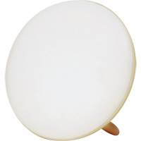 Lampe &agrave; luminoth&eacute;rapie pour le traitement de la d&eacute;pression saisonni&egrave;re Oxford Builders Supplies Inc