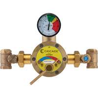 Mixing Valve for Exposed Assembly of Drench or Combination Emergency Shower, 56 GPM Oxford Builders Supplies Inc