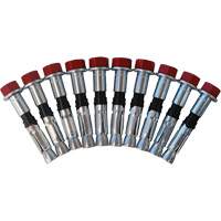 Replacement Bolt Kit for Concrete D-Ring Anchors, Bolt-On, Permanent/Temporary Use Oxford Builders Supplies Inc