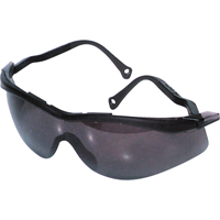 Lunettes de s&eacute;curit&eacute; North The Edge, Lentille Fum&eacute;e, Antibu&eacute;e/Anti-&eacute;gratignures, R&eacute;pond ou surpasse la norme CSA Z94.3 Oxford Builders Supplies Inc