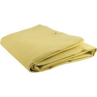 Acrylic Coated Fiberglass Blanket, 6' W x 6' L, Rated Up To 300 °F Oxford Builders Supplies Inc