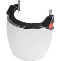 Face Protection