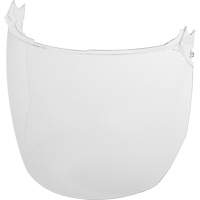 Lentilles de remplacement d&eacute;cran facial, Polycarbonate, Teinte Transparent Oxford Builders Supplies Inc