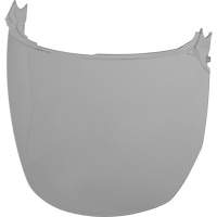 Lentilles de remplacement d&eacute;cran facial, Polycarbonate, Teinte Grise/fum&eacute;e Oxford Builders Supplies Inc