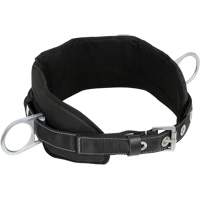 WB-6020-S Dispositif de retenue de s&eacute;curit&eacute; avec ceinture &agrave; deux anneaux en D et support lombaire rembourr&eacute; - Petit Oxford Builders Supplies Inc