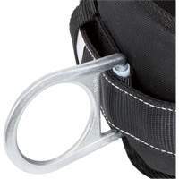 WB-6020-S Dispositif de retenue de s&eacute;curit&eacute; avec ceinture &agrave; deux anneaux en D et support lombaire rembourr&eacute; - Petit Oxford Builders Supplies Inc