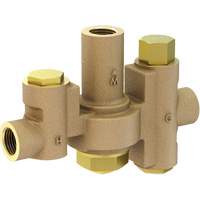 Emergency Eyewash & Shower Water Blending Systems