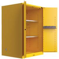 Utili-Guard+ Flammable Safety Cabinet, 45 gal., 2 Door, 43" W x 65" H x 22" D Oxford Builders Supplies Inc