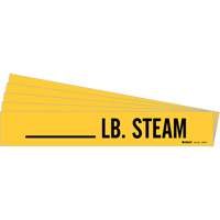 "LB. Steam" Pipe Markers, Self-Adhesive, 2-1/4" H x 2-3/4" W, Black on Yellow Oxford Builders Supplies Inc