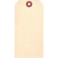 Manila Blank Tags, Cardstock, 1-5/8" W x 3-1/4" H Oxford Builders Supplies Inc
