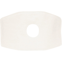 North&reg; Replacement Filter, Particulate Filter, N99 Filter Oxford Builders Supplies Inc