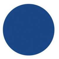 Round Write-On Labels, Circle, 3" L x 3" W, Blue Oxford Builders Supplies Inc