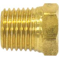Bouchon de tuyau (t&ecirc;te hexagonale), 1/8" dia., Laiton Oxford Builders Supplies Inc