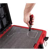 Coffre &agrave; outils avec partitions ajustables Packout, 20-7/10" x 15-1/5" x 6-1/5", Noir/Rouge Oxford Builders Supplies Inc