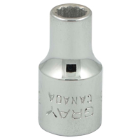 Socket, 3/16", 1/4" Drive, 12 Points Oxford Builders Supplies Inc
