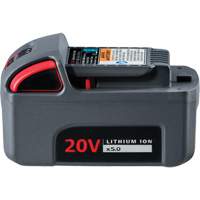 IQV20 High Capacity Battery, Lithium-Ion, 20 V, 5 Ah Oxford Builders Supplies Inc