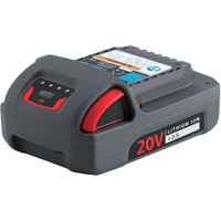 IQV20 Series Battery, Lithium-Ion, 20 V, 2.5 Ah Oxford Builders Supplies Inc